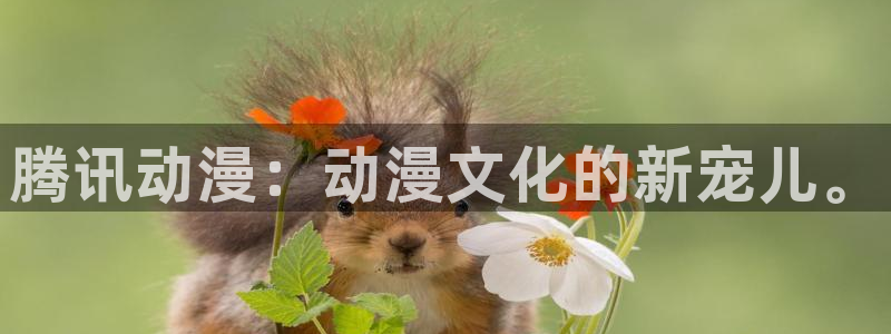 风车动漫p专注动漫门户网站：腾讯动漫：动漫文化的新宠儿。