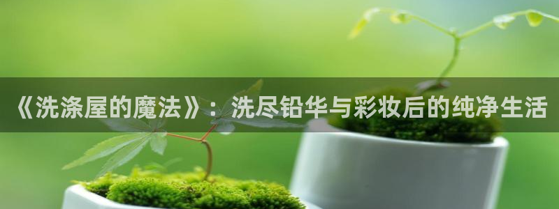 风车动漫,：《洗涤屋的魔法》：洗尽铅华与彩妆后的纯净生活