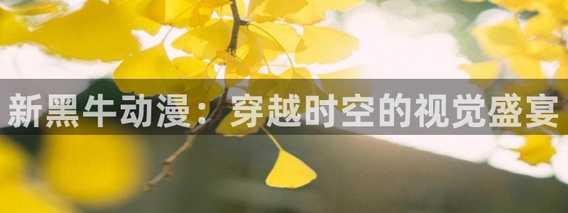 风车动漫下载：新黑牛动漫：穿越时空的视觉盛宴