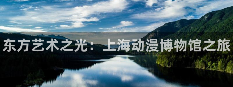 风车动漫 在线观看：东方艺术之光：上海动漫博物馆之旅