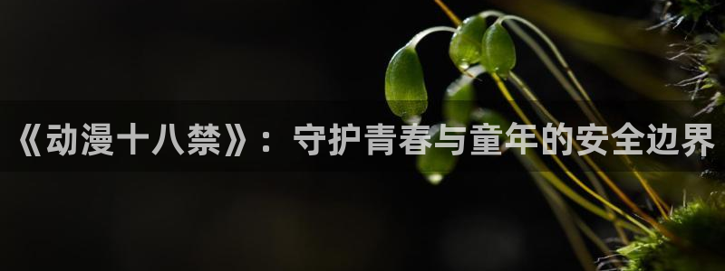 父爱如山风车动漫：《动漫十八禁》：守护青春与童年的安全边界
