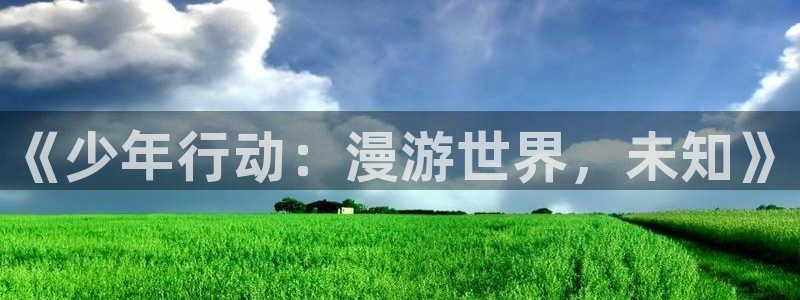 强风吹拂樱花动漫风车动漫：《少年行动：漫游世界，未知》